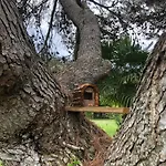 Domaine Les Vinyes Bed & Breakfast 3*
