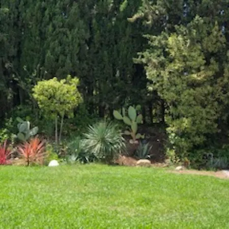 Domaine Les Vinyes Panzió *