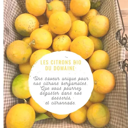 ベッド・アンド・ブレックファスト Domaine Les Vinyes