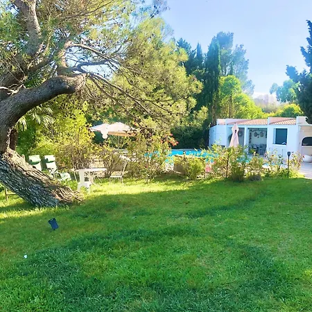 Domaine Les Vinyes 3*