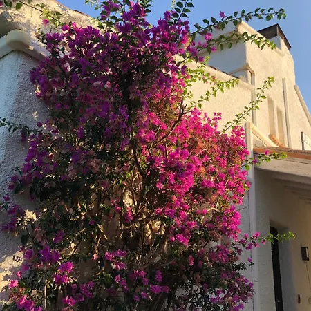 Domaine Les Vinyes Pollestres