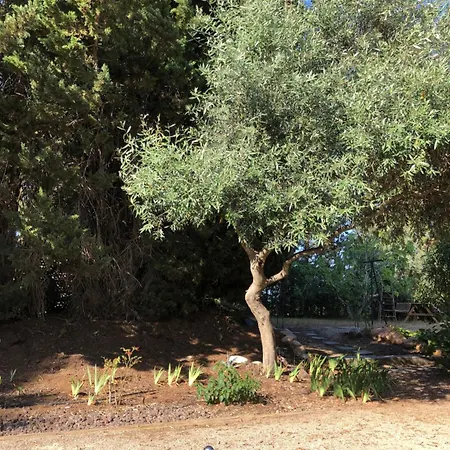Domaine Les Vinyes Bed & Breakfast 3*