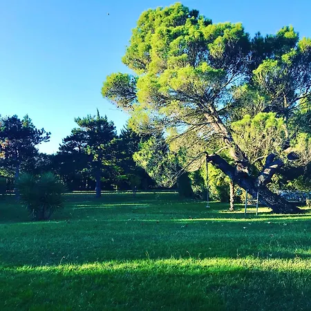 Bed & Breakfast Domaine Les Vinyes
