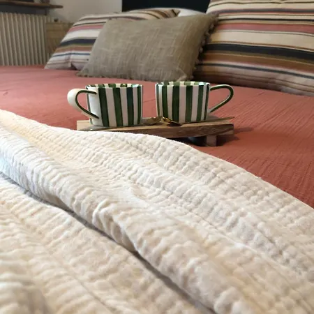 Domaine Les Vinyes Bed & Breakfast
